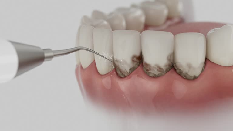 Reliable Dental contractor in Warrenton, VA by Dentist Open Now
